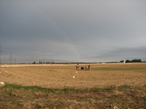 Talbot Wind 